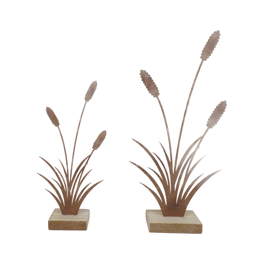 Set/2 Asst Size Rust Bulrushes on Base 14.5x5x30.5/11x4.5x23cm