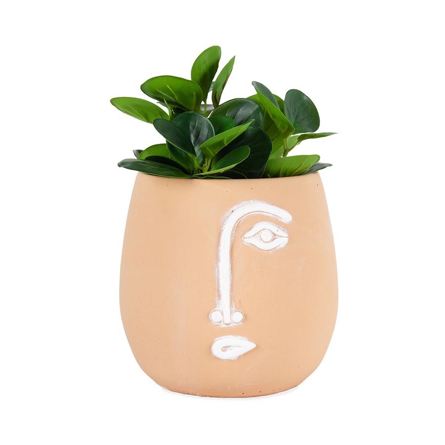 Pablo Coral Potplanter w/Hole & Plug