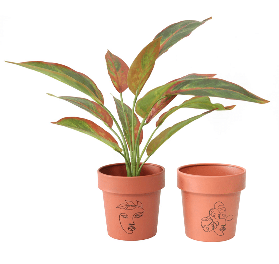 Set/2 Asst Line-Art Potplanters