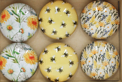 Glass Magnets - Fantastic Florals, Beautiful Bees, and Gorgeous Patterns.
